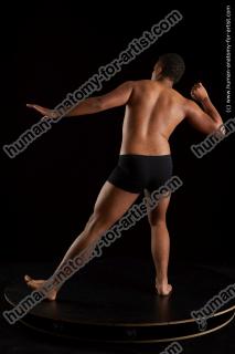 standing reference of garson20